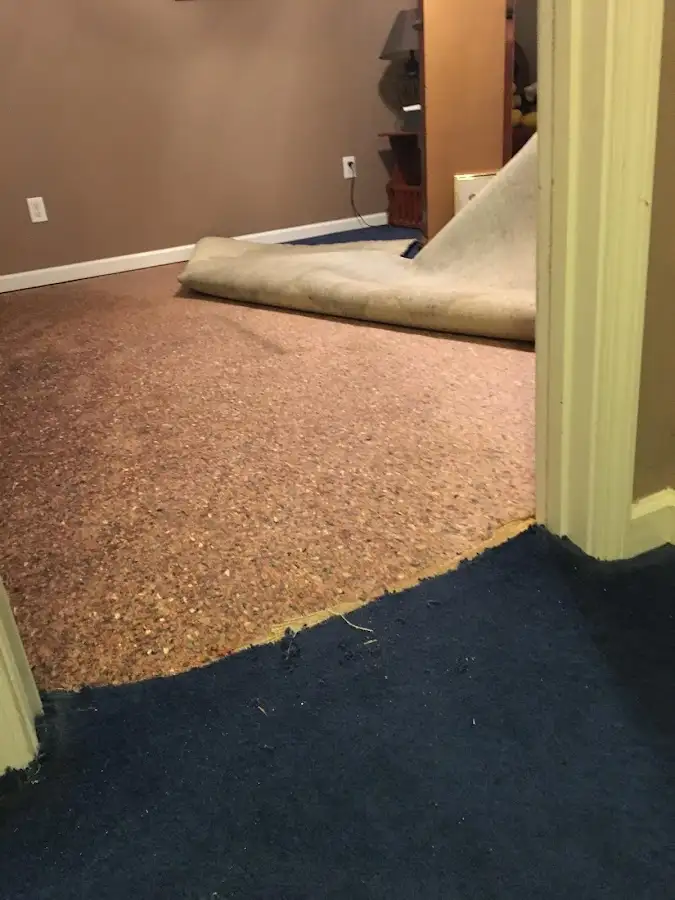 Carpet pad removal revealing water damage during Drying & Dehumidification in La Vergne