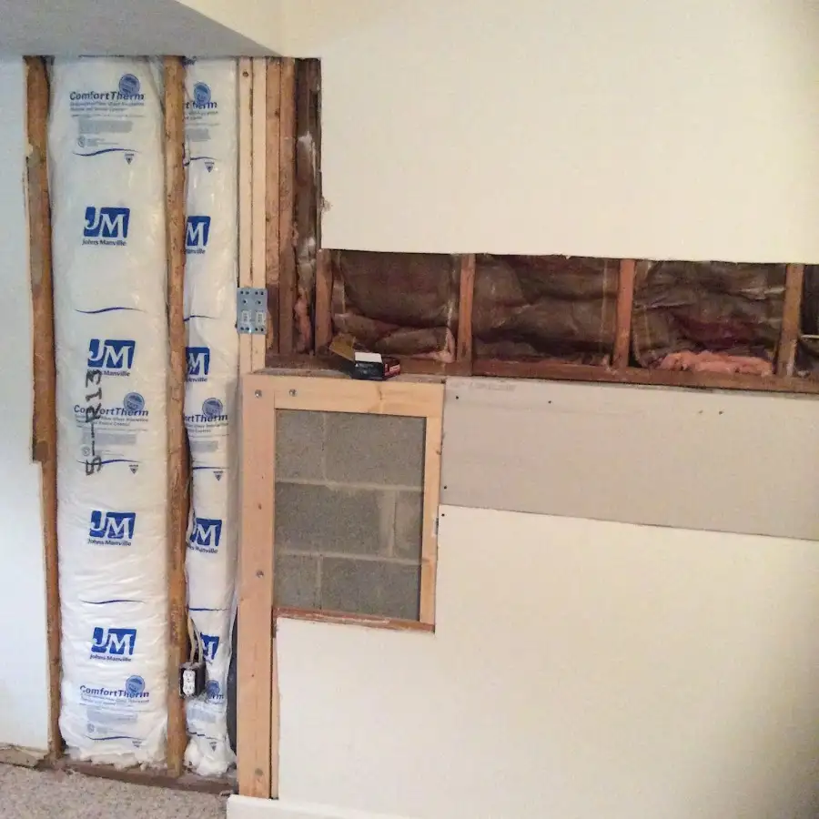 Wall insulation replacement during Odor Removal & Deodorization in La Vergne